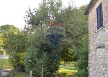 Giardino - Appartamento Str. Cenerente - Colle Umberto
 
39, Perugia - foto 5