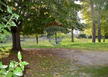 Giardino - Appartamento Str. Cenerente - Colle Umberto
 
39, Perugia - foto 6