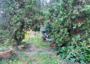 Giardino - Rustico Perugia - foto 18