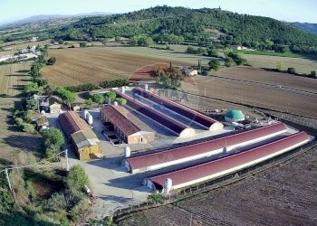 Vista delle montagne - Azienda agricola Via Marinaccia
8, Magione - foto 1
