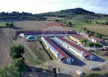 Edificio all\'aperto - Azienda agricola Via Marinaccia
8, Magione - foto 2