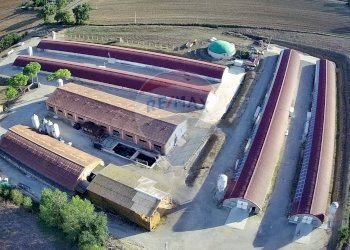 Edificio all\'aperto - Azienda agricola Via Marinaccia
8, Magione - foto 4