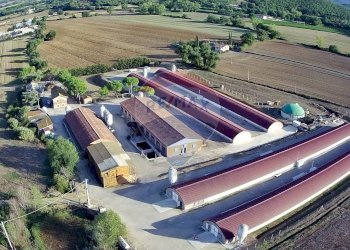 Edificio all\'aperto - Azienda agricola Via Marinaccia
8, Magione - foto 6