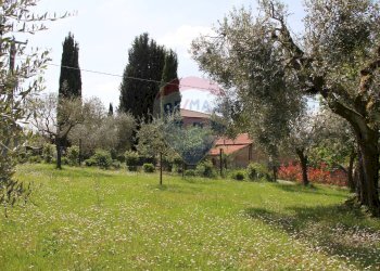Giardino - Rustic Montepulciano - photo 6