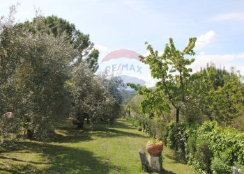 Giardino - Rustic Montepulciano - photo 14