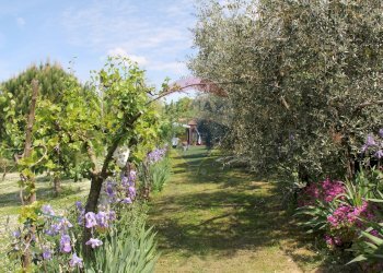 Giardino - Rustic Montepulciano - photo 20