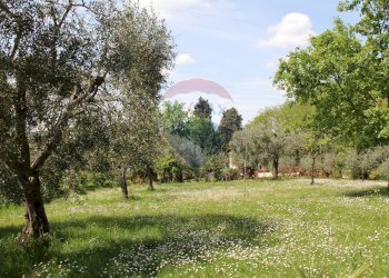 Giardino - Rustic Montepulciano - photo 26