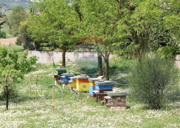 Giardino - Rustic Montepulciano - photo 31