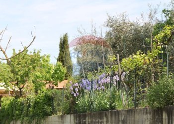 Giardino - Rustic Montepulciano - photo 33