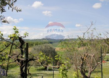 Giardino - Rustic Montepulciano - photo 34