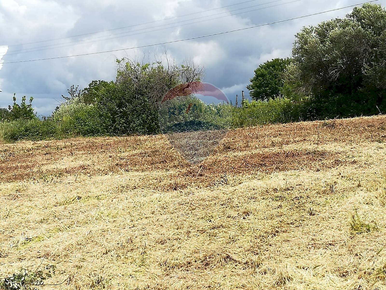 Giardino - Terreno edificabile via topino, Aprilia - foto 2