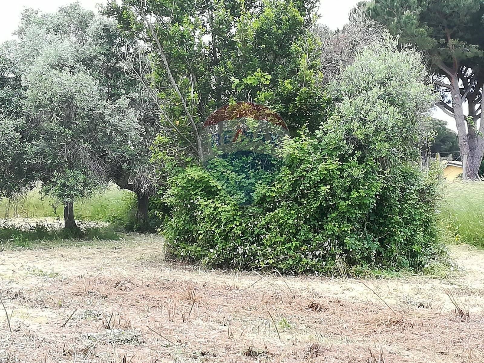 Giardino - Terreno edificabile via topino, Aprilia - foto 3