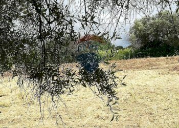 Giardino - Terreno edificabile via topino, Aprilia - foto 1