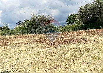 Giardino - Terreno edificabile via topino, Aprilia - foto 2