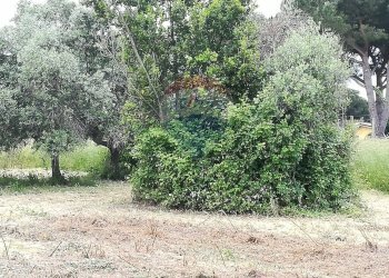 Giardino - Terreno edificabile via topino, Aprilia - foto 3