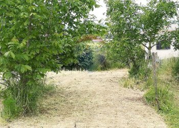 Giardino - Terreno edificabile via topino, Aprilia - foto 4