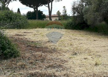 Giardino - Terreno edificabile via topino, Aprilia - foto 5