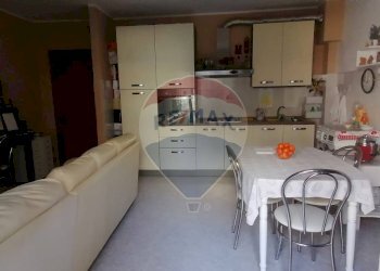 Cucina - Trilocale Via della Seccia
 
135, Nettuno - foto 17