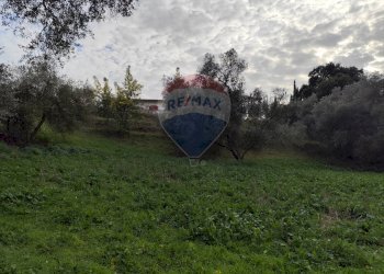 Giardino - Terreno agricolo Via delle Begonie, Aprilia - foto 1