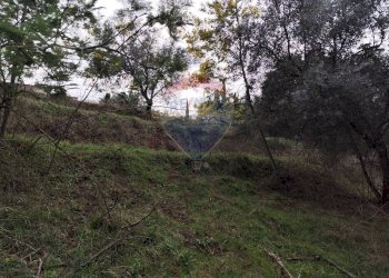 Giardino - Terreno agricolo Via delle Begonie, Aprilia - foto 5