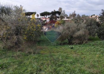 Giardino - Terreno agricolo Via delle Begonie, Aprilia - foto 11