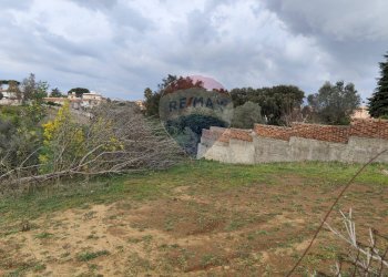 Giardino - Terreno agricolo Via delle Begonie, Aprilia - foto 16