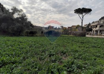 Giardino - Terreno agricolo Vie delle Begonie, Aprilia - foto 4