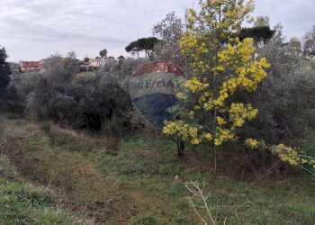 Non correlato - Terreno agricolo Vie delle Begonie, Aprilia - foto 7