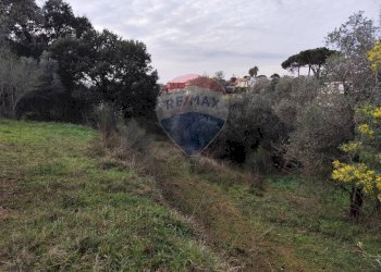 Non correlato - Terreno agricolo Vie delle Begonie, Aprilia - foto 8