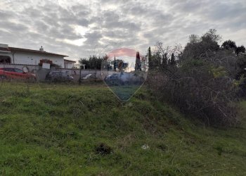 Giardino - Terreno agricolo Vie delle Begonie, Aprilia - foto 9