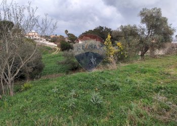 Giardino - Terreno agricolo Vie delle Begonie, Aprilia - foto 12