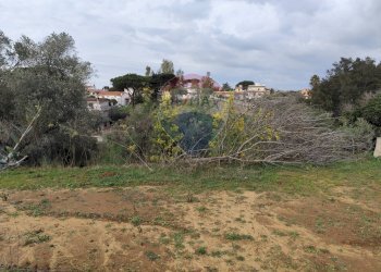 Giardino - Terreno agricolo Vie delle Begonie, Aprilia - foto 15