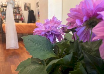 Dettagli - Villa Via Ernesto Parisi
28, Roma - foto 11