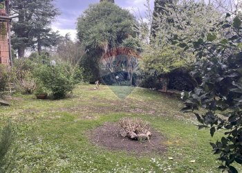 Giardino - Villa Via Ernesto Parisi
28, Roma - foto 31