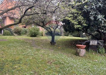 Giardino - Villa Via Ernesto Parisi
28, Roma - foto 32