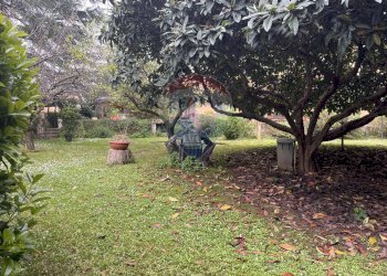 Giardino - Villa Via Ernesto Parisi
28, Roma - foto 36