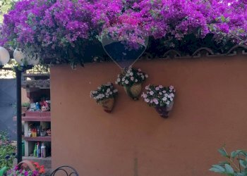 Balcone - Villa Via Ernesto Parisi
28, Roma - foto 43