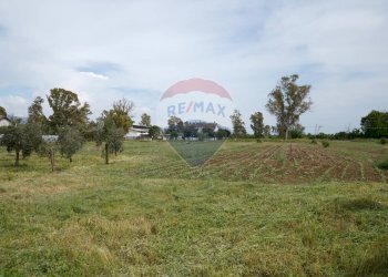 Giardino - Villa strada Chiesuola
 
128, Latina - foto 28