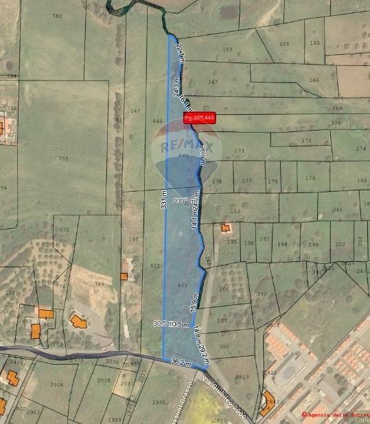 Pianta 2D - Terreno agricolo Via Giubileo 2000, Motta Sant'Anastasia - foto 2