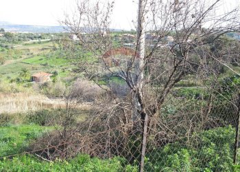 Non correlato - Terreno agricolo Via Giubileo 2000, Motta Sant'Anastasia - foto 10
