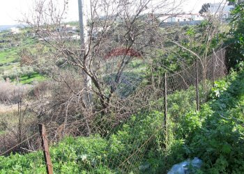 Giardino - Terreno agricolo Via Giubileo 2000, Motta Sant'Anastasia - foto 14