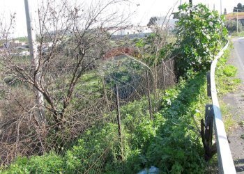Giardino - Terreno agricolo Via Giubileo 2000, Motta Sant'Anastasia - foto 15