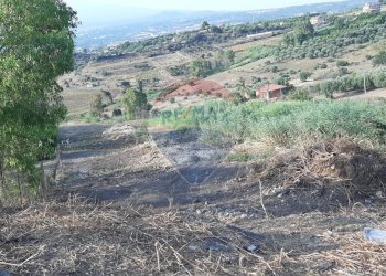 Vista delle montagne - Terreno agricolo Via Giubileo 2000, Motta Sant'Anastasia - foto 18