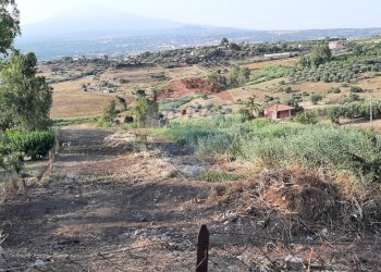 Vista delle montagne - Terreno agricolo Via Giubileo 2000, Motta Sant'Anastasia - foto 20