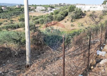 Non correlato - Terreno agricolo Via Giubileo 2000, Motta Sant'Anastasia - foto 22