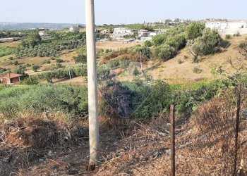 Vista delle montagne - Terreno agricolo Via Giubileo 2000, Motta Sant'Anastasia - foto 24