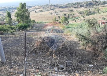 Vista delle montagne - Terreno agricolo Via Giubileo 2000, Motta Sant'Anastasia - foto 34
