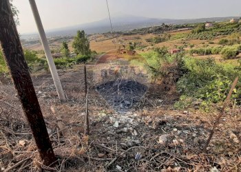 Vista delle montagne - Terreno agricolo Via Giubileo 2000, Motta Sant'Anastasia - foto 35