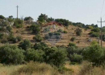 Vista delle montagne - Terreno agricolo SP 73
 
sn, Noto - foto 2