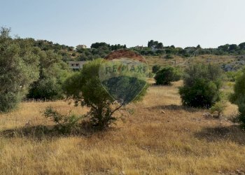 Vista delle montagne - Terreno agricolo SP 73
 
sn, Noto - foto 5